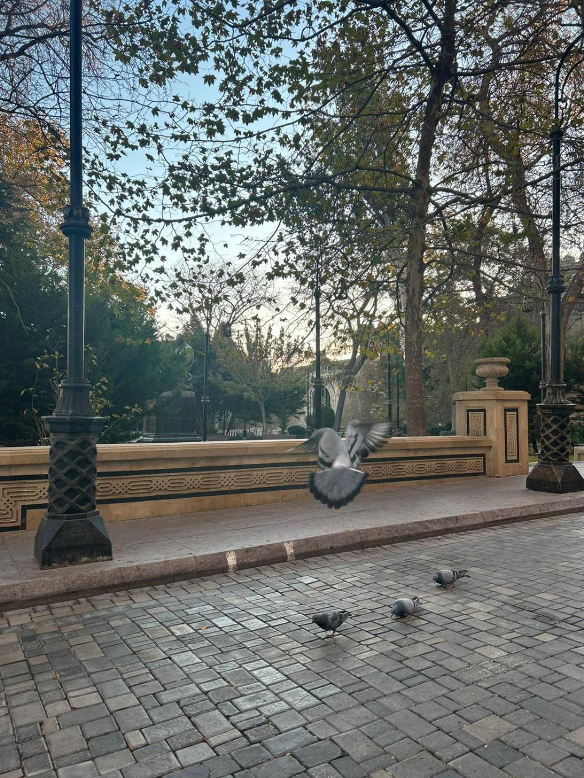 Hostel124 Баку Экстерьер фото